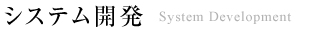 システム開発　SystemDevelopment